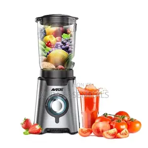 Avinas AV-168 High Quality Multi-Function Electric Gas Jar