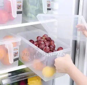 Kitchen Storage Containers With Handle