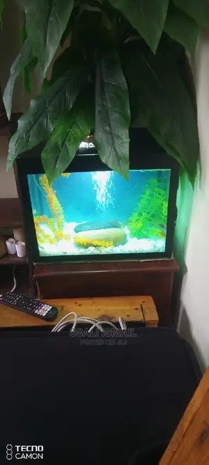Simple and Affordable Aquarium