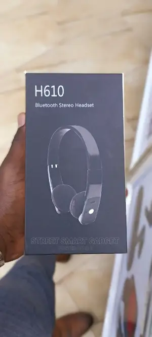 H610 Portable Headphones