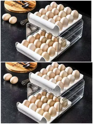 Egg Storage Box