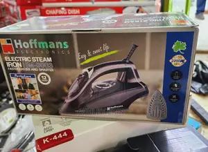 Hoffman Electric Steam Iron