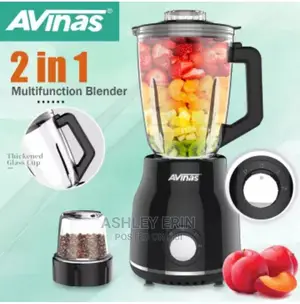 Avinas Multifunction Nutrient Blender