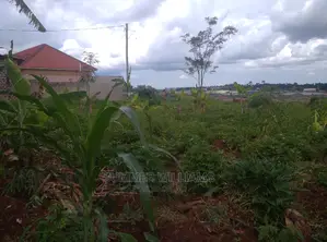 Land for Sale in Bukerere