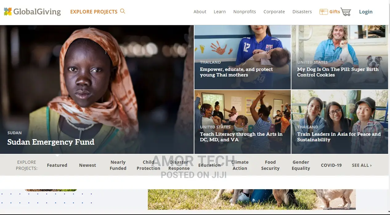 Nonprofit Websites