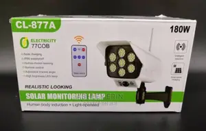 Solar Monitoring Light