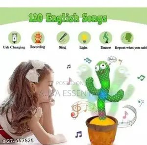 Singing Dancing Cactus Toy