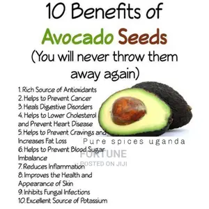 Avocado Seed Powder Kg