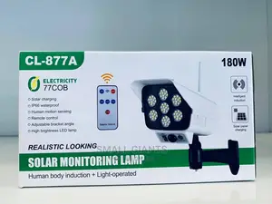 2 in 1 Solar Light Security Dummy Camera Remote LED Lamp