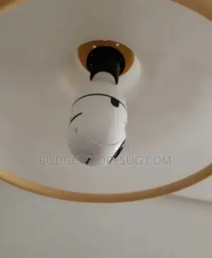PTZ Bulb Shape Screw Camera