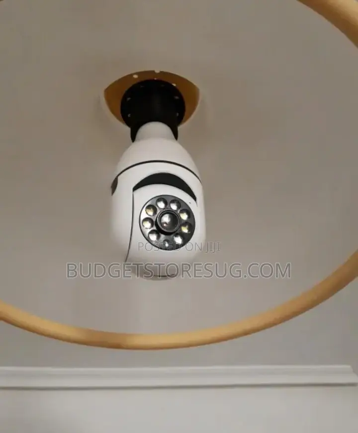 PTZ Bulb Shape Screw Camera