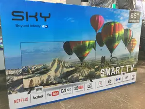Sky Worth 65 Inches