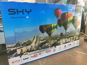 Sky Worth 65 Inches