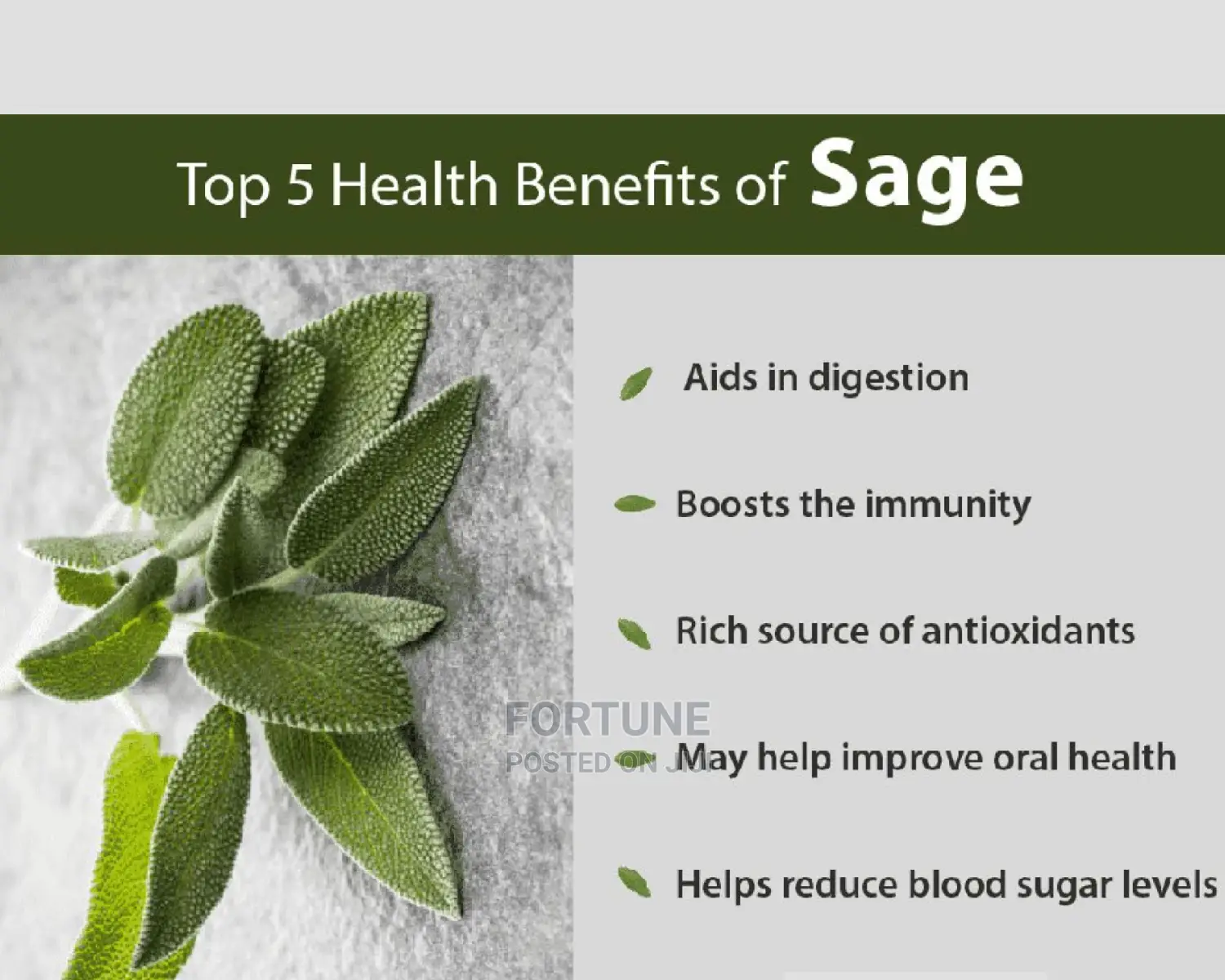 Dry Sage 250grams