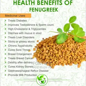 Fenugreek Seeds Kilo
