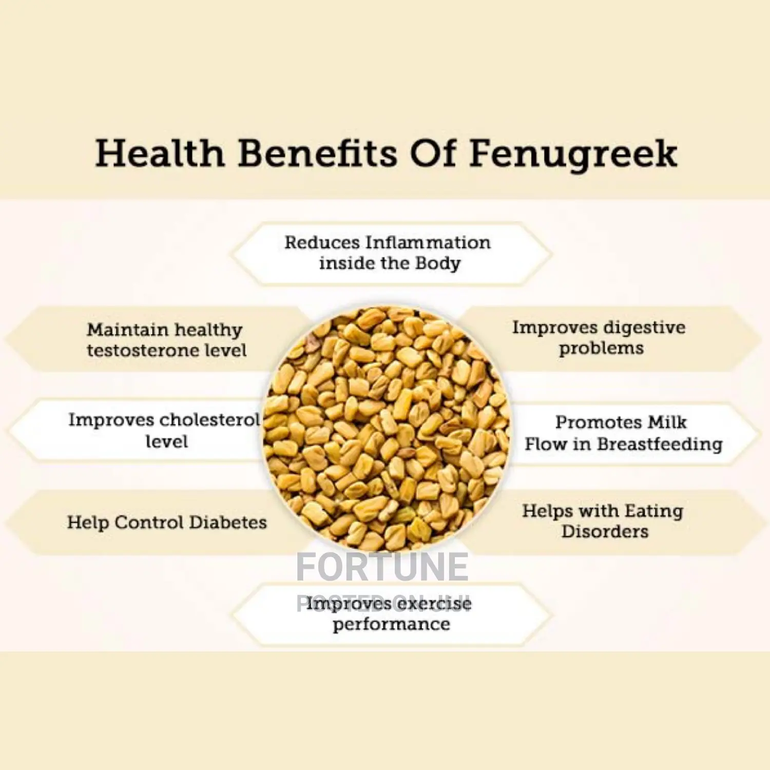 Fenugreek Kilogram