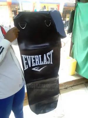Punching Bag Everlast