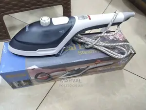 Steam Brush Iron