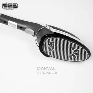 Steam Brush Iron