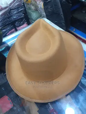 Fedora Hats Cap