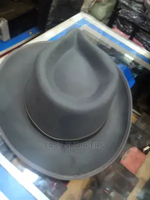 Fedora Hats Classic