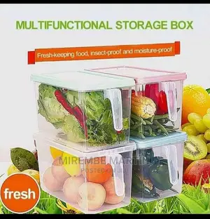 Fridge Storage Box
