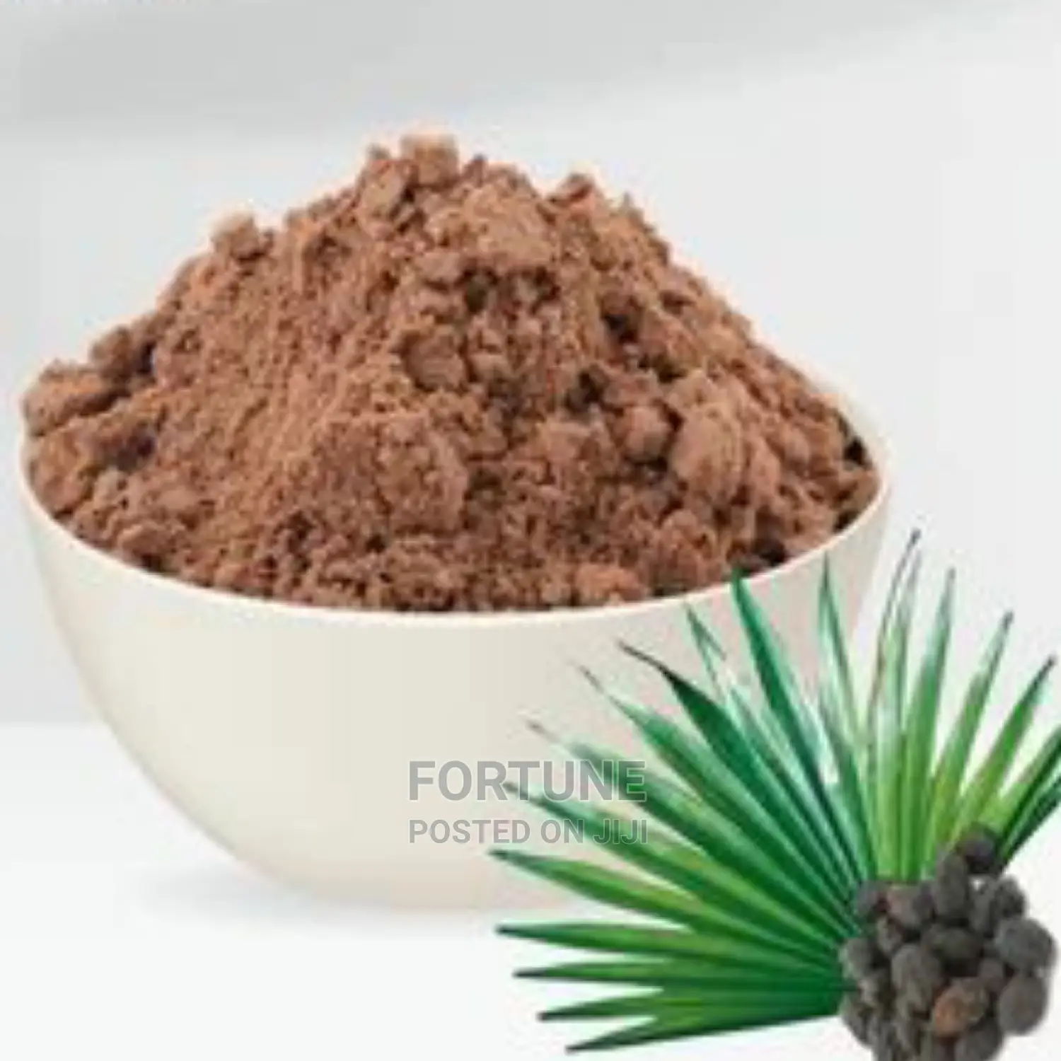 Saw Palmetto Powder Half