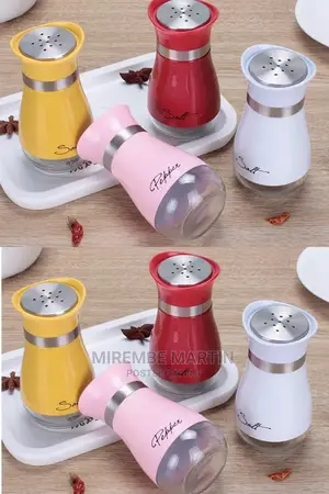 Salt Shaker