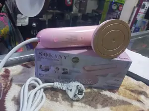 Steam Hand Held Iron /Hand Held Steam Iron