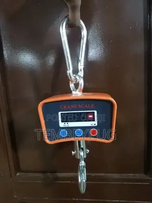 Crane Weighing Scale 500kg