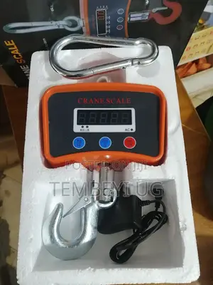 Crane Weighing Scale 500kg