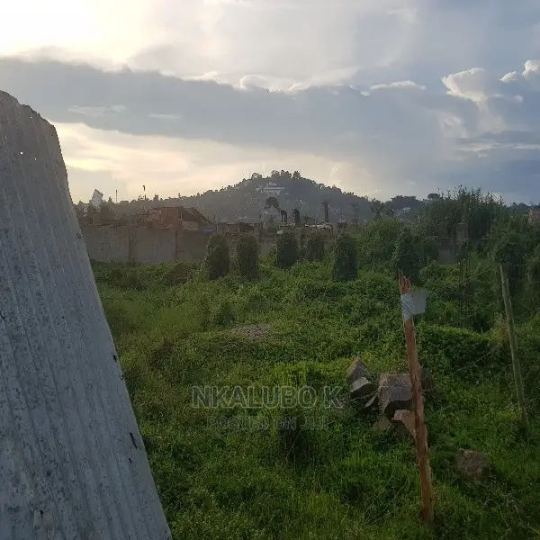 Bunga Kalungu Plot Quicksale