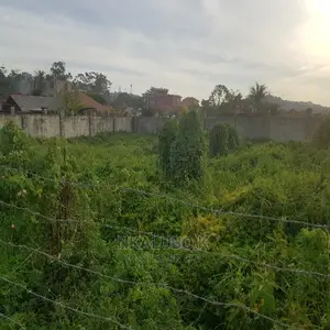 Bunga Kalungu Plot Quicksale