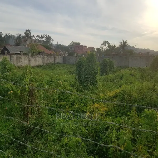 Bunga Kalungu Plot Quicksale