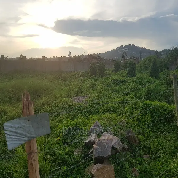 Bunga Kalungu Plot Quicksale