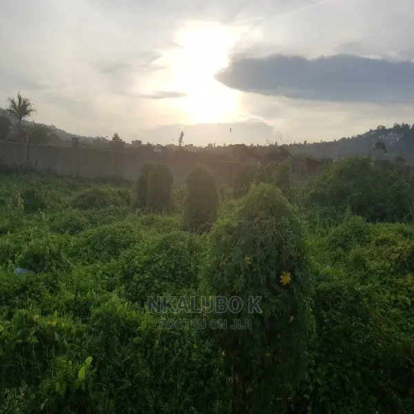 Bunga Kalungu Plot Quicksale