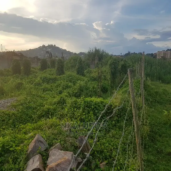 Bunga Kalungu Plot Quicksale