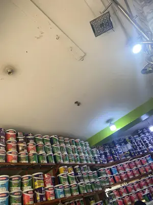 Plascon Paints