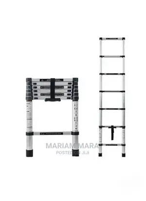 Telescopic Aluminium Ladder 2.9 Metres