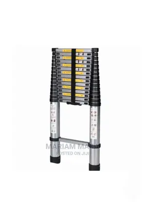 Ladder 3.2 Metres