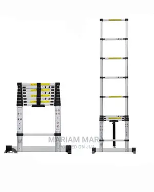 Ladder 3.8 Metres Telescopic