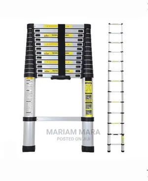 Telescopic Ladder 4.1 Metres