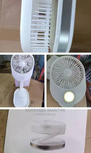 Folding Fan