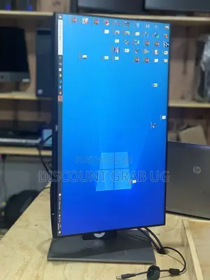 Dell 24” IPS Monitor