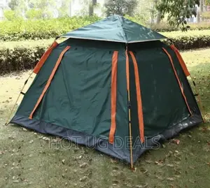 2-Person Camping Outdoor Tent - Colour Delivered May Vary