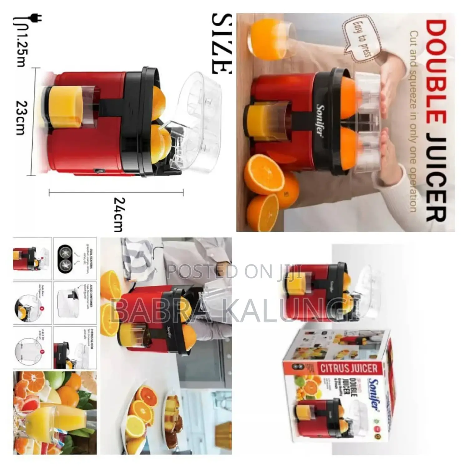 Double Electric Juicer
