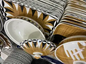 Classic Animal Print Dinner Plates Bowls