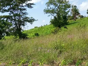 2 Sqaure Miles in Kassanda at 8m Per Acre