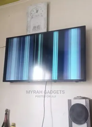 Professional Multiskilled Technicians in Lg,Hisense Repair