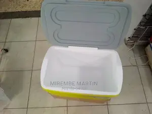 Portable Cooler Bag